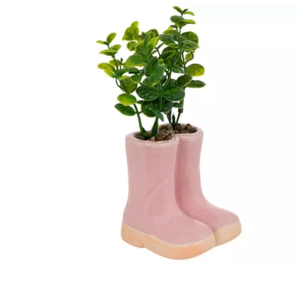 Rain boots Plant
